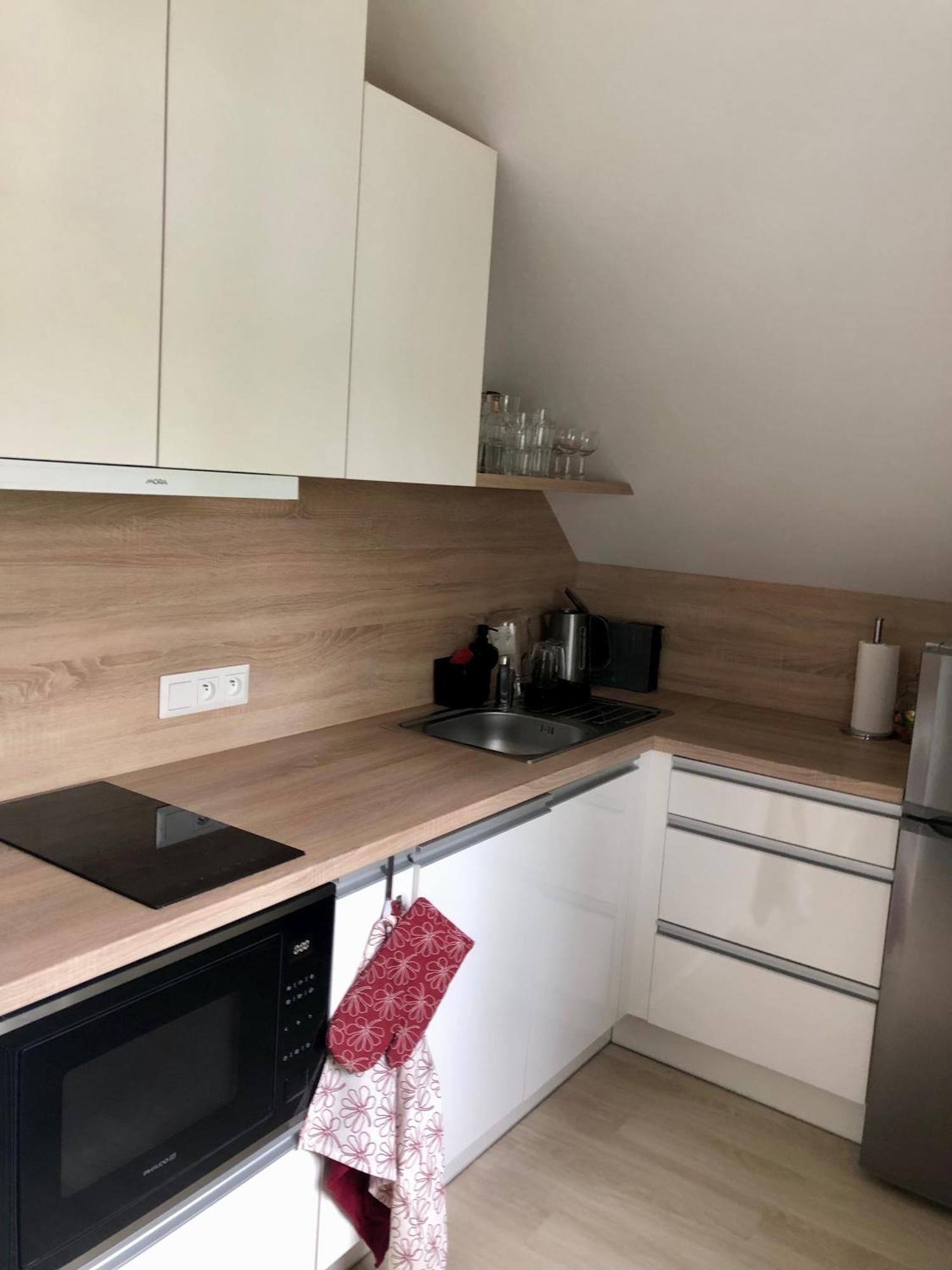 Horní Blatná Apartman Krusne Hory - Erzgebirge מראה חיצוני תמונה